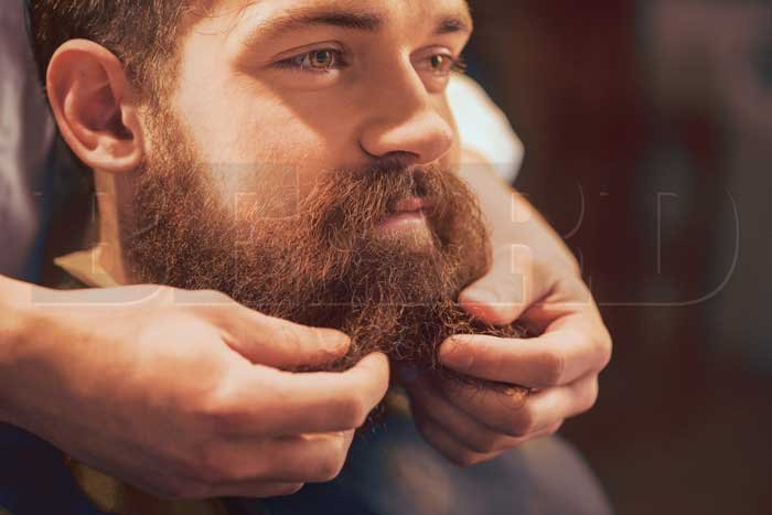 Cuidando e mantendo sua barba ao estilo lumbersexual