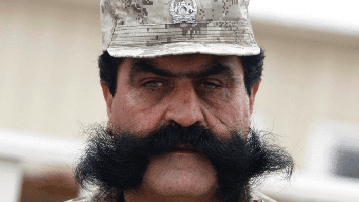 O bigode mexicano precisa de paciência, e mais ainda de cuidados