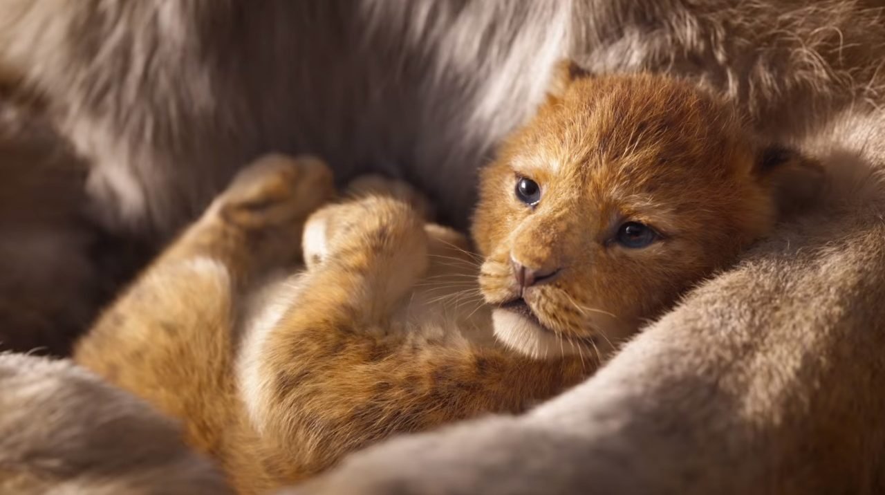 A versão Live Action de O Rei Leão é um dos Filmes imperdíveis de 2019