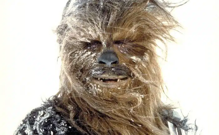 chewbacca star wars