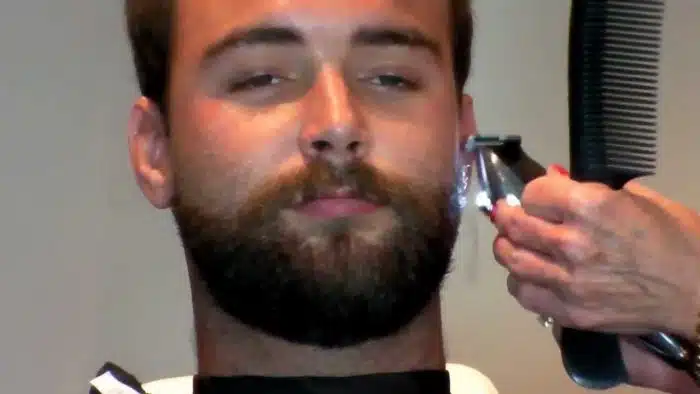 Barba Primavera