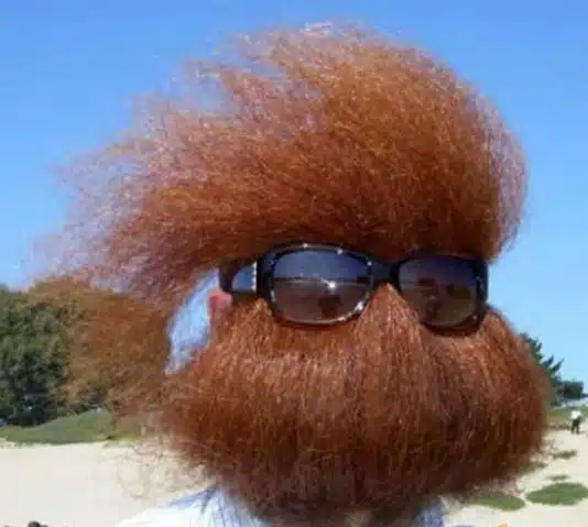 Barbas Bizarras