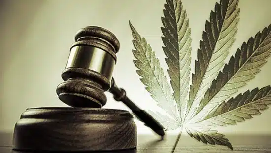 maconha e a leia