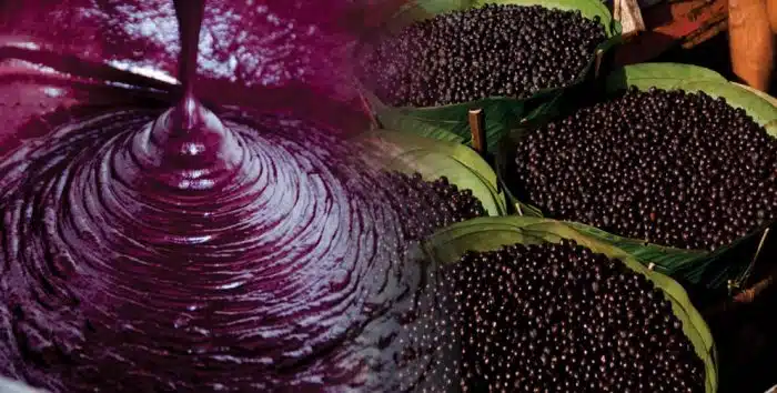 Líquida ou não, o açaí está entre as bebidas refrescantes mais populares do Brasil