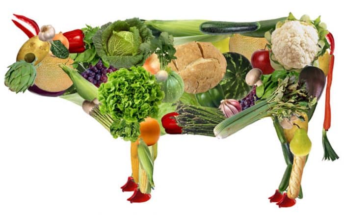 vegetarianismo ou veganismo? Veja como eles são um tanto diferentes.