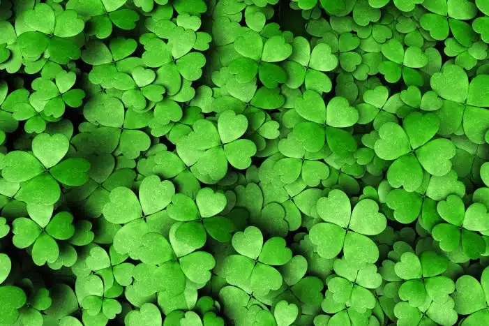 St Patrick's Day tem como seu principal símbolo o trevo St Patrick's Day tem como seu principal símbolo o trevo