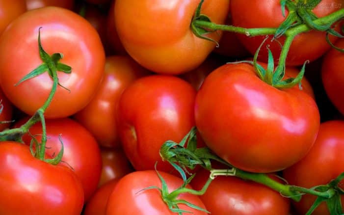 O tomate é o seu maior aliado no combate ao câncer de próstata