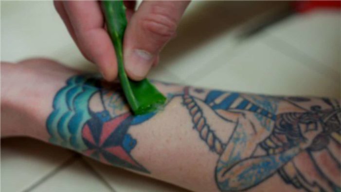 A pele recém tatuada precisa de produtos que agilizem e tranquilizem a recuperação do procedimento