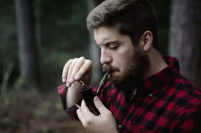 O lumberjack é uma boa ideia de Barba para o verão 2018