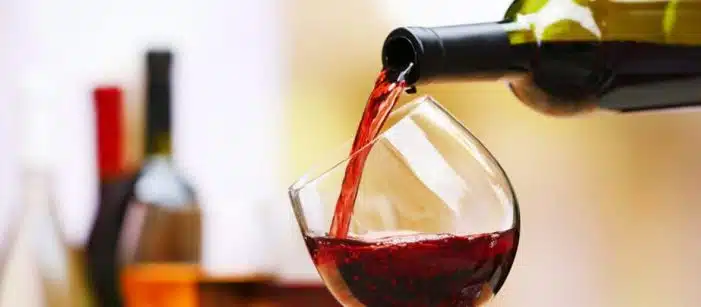 Vinhos são Bebidas para sempre ter em uma noite romântica e além
