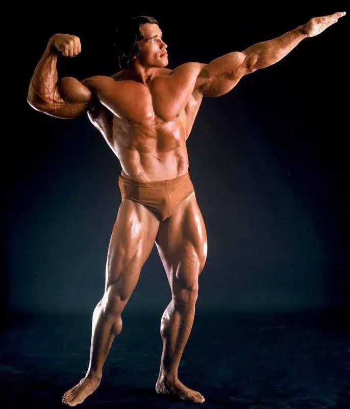 Arnold Schwarzenegger pose