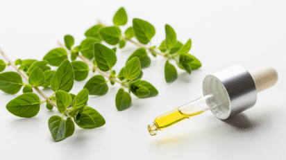 Óleo essencial de orégano — erva medicinal potente
