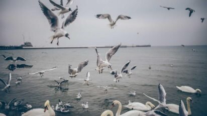 Messy fringe masculino com textura natural na franja