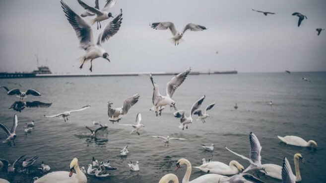 Messy fringe masculino com textura natural na franja