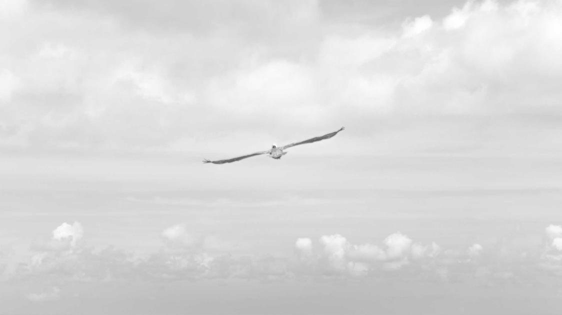 Resultado final de messy fringe masculino em cabelo ondulado